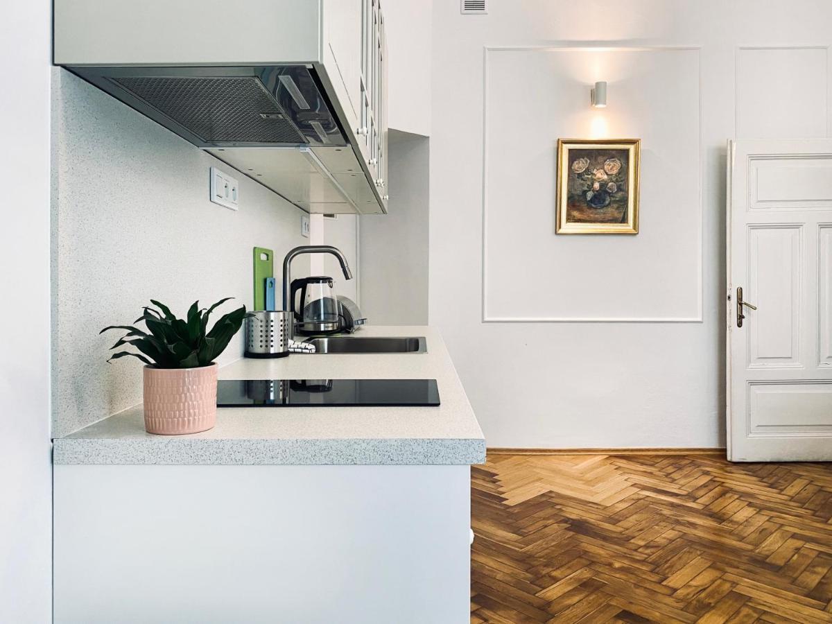 Beautiful Apartment With Two Rooms, Cracow Old Town Cracóvia Exterior foto